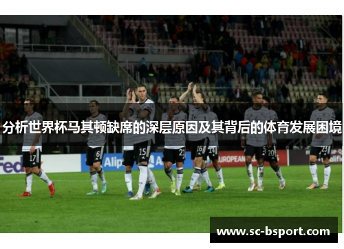 分析世界杯马其顿缺席的深层原因及其背后的体育发展困境