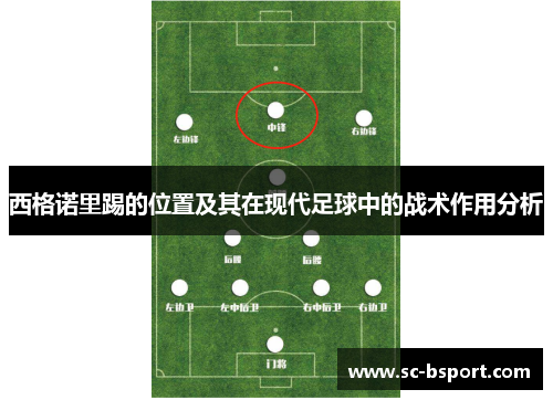 西格诺里踢的位置及其在现代足球中的战术作用分析