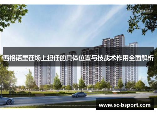 西格诺里在场上担任的具体位置与技战术作用全面解析