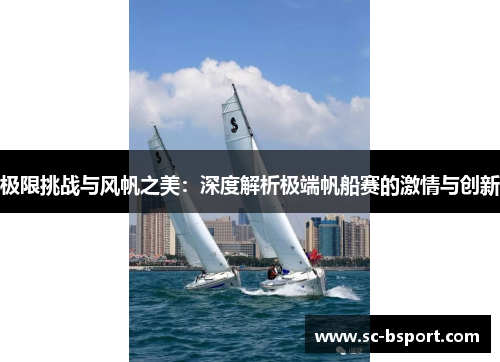 极限挑战与风帆之美：深度解析极端帆船赛的激情与创新