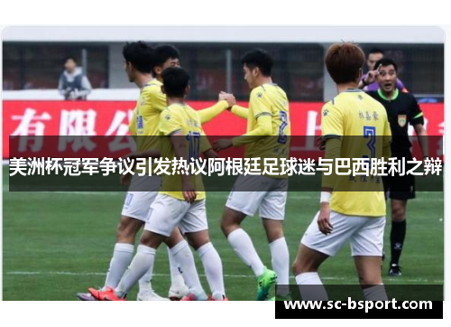 美洲杯冠军争议引发热议阿根廷足球迷与巴西胜利之辩