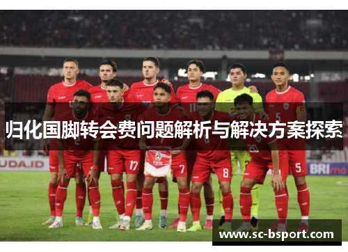 归化国脚转会费问题解析与解决方案探索