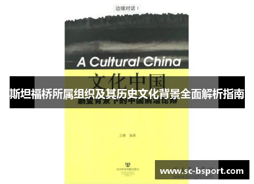 斯坦福桥所属组织及其历史文化背景全面解析指南