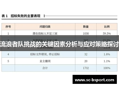 流浪者队挑战的关键因素分析与应对策略探讨
