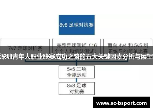 深圳青年人职业联赛成功之路的五大关键因素分析与展望