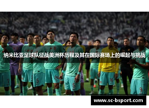 纳米比亚足球队征战美洲杯历程及其在国际赛场上的崛起与挑战